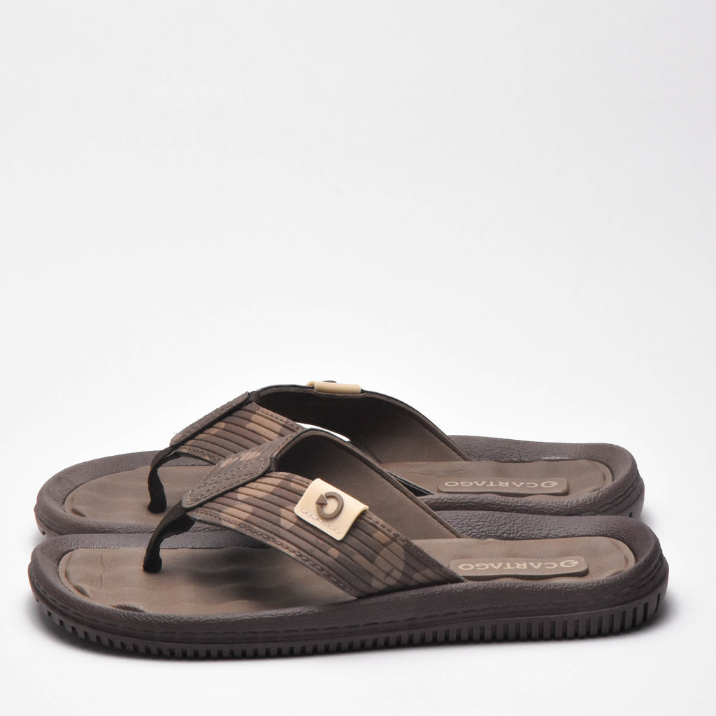 CARTAGO DUNAS VI AD BROWN - 8261426378