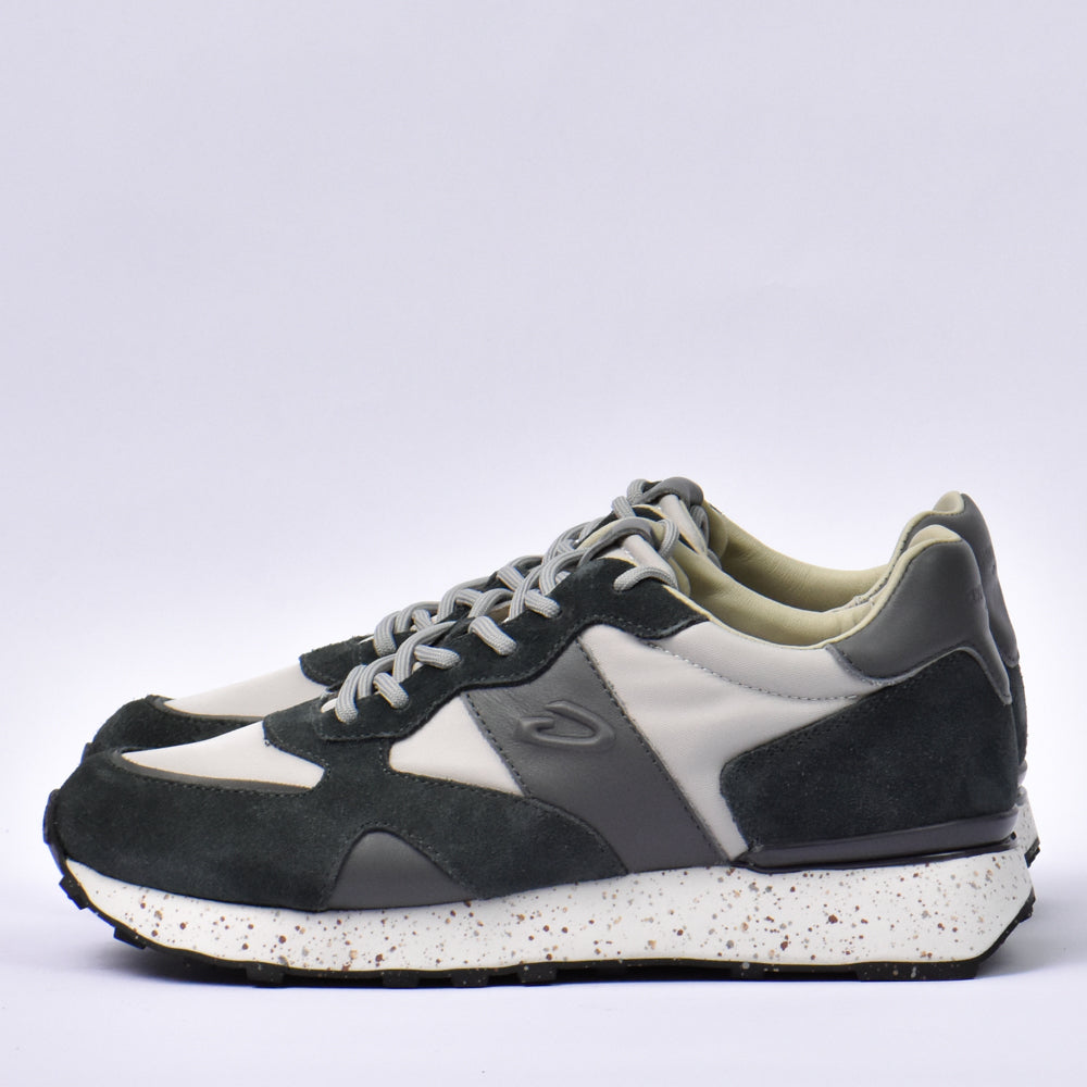 Guardiani - AGM316600