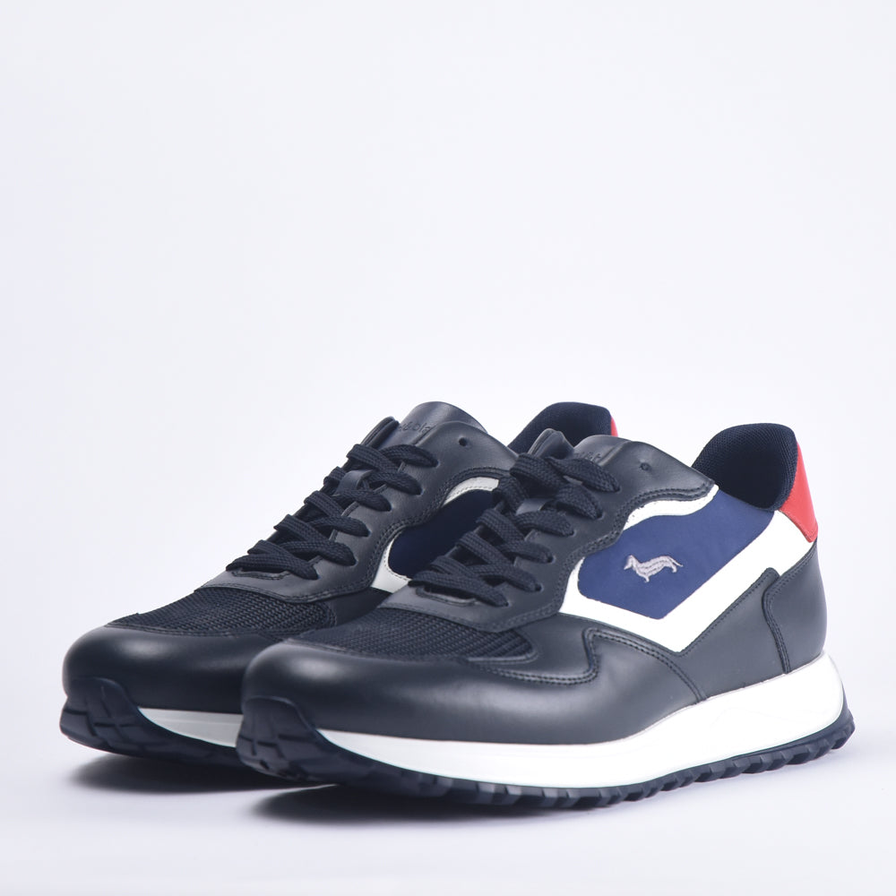 HARMONT AND BLAINE SCARPA UOMO CALF  BLU - EFM231-079-6190