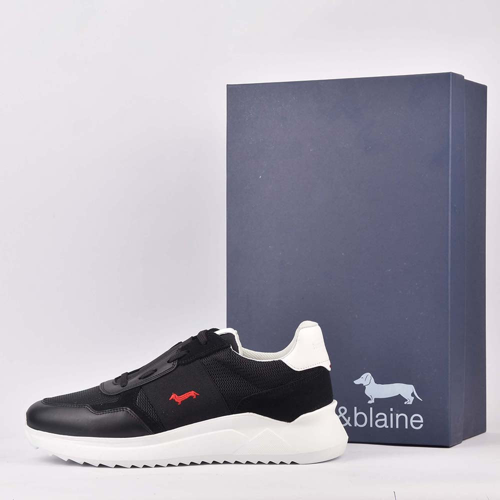 HARMONT AND BLAINE SCARPA UOMO CALF NERO - EFM231-062-6250