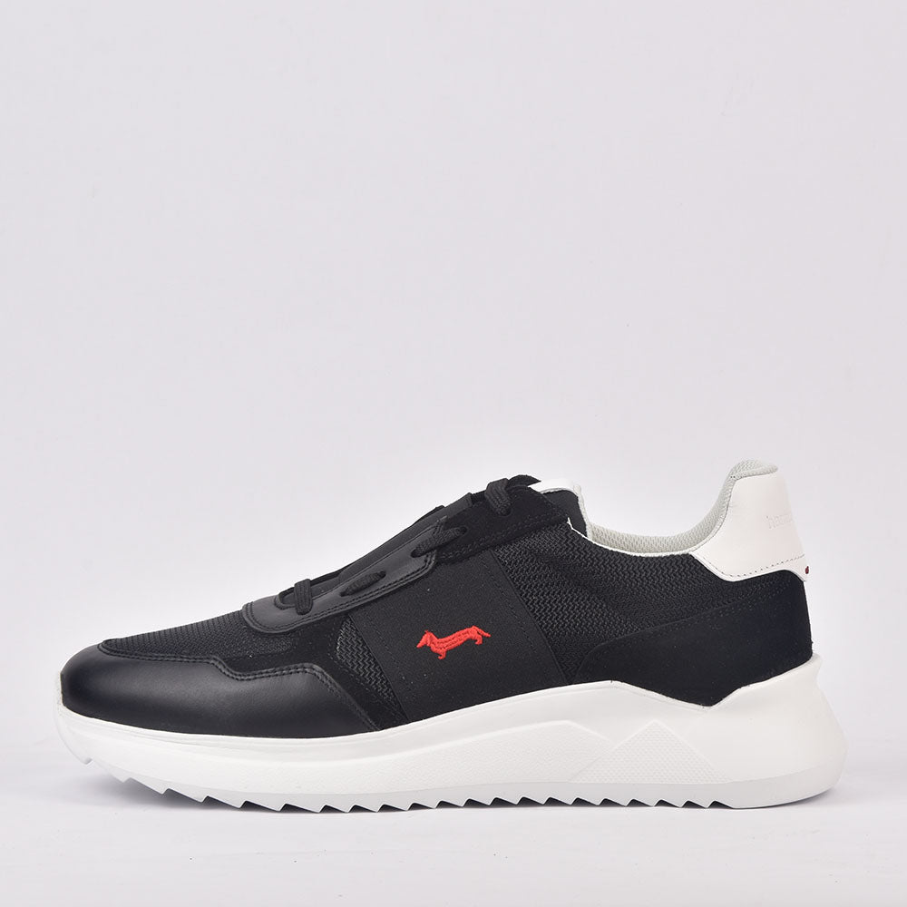 HARMONT AND BLAINE SCARPA UOMO CALF NERO - EFM231-062-6250