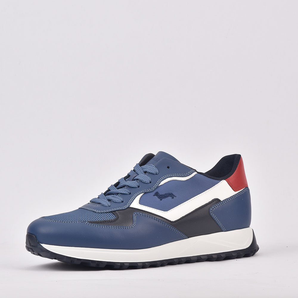 HARMONT AND BLAINE SCARPA UOMO CALF AZZURRO - EFM231-079-6470