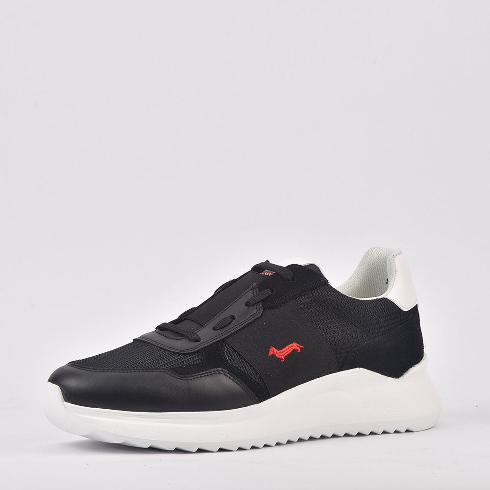 HARMONT AND BLAINE SCARPA UOMO CALF NERO - EFM231-062-6250