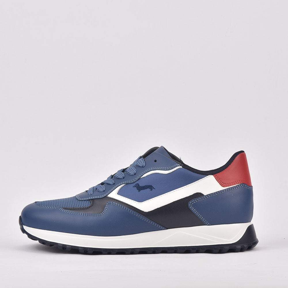 HARMONT AND BLAINE SCARPA UOMO CALF AZZURRO - EFM231-079-6470