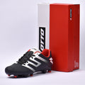 Lotto - 220570-BI2