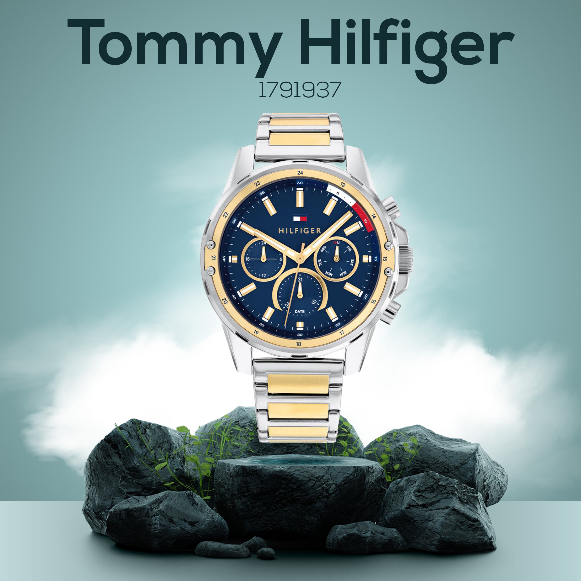 Montre Homme Tommy Hilfiger 1791937 - 2278