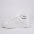 BASKET CHAMPION - S11868-WW001