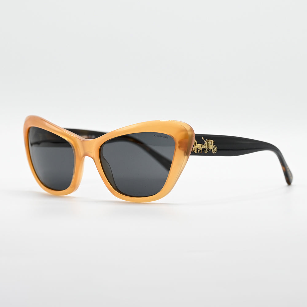 Coach HC8205 Square Sunglasses - HC8205-544680