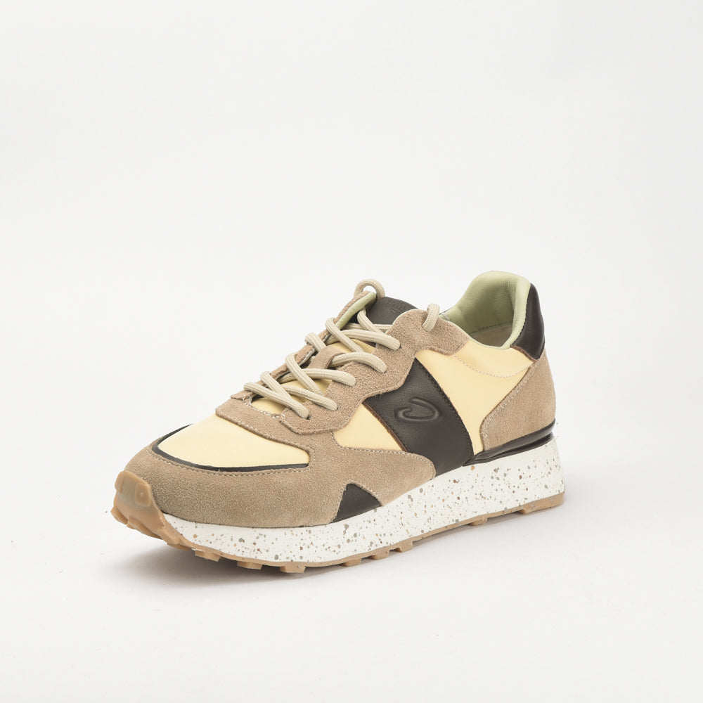 Guardiani - AGM316602