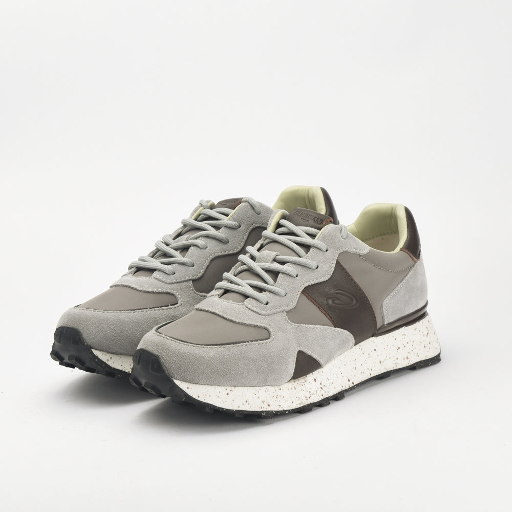 Guardiani - AGM316603