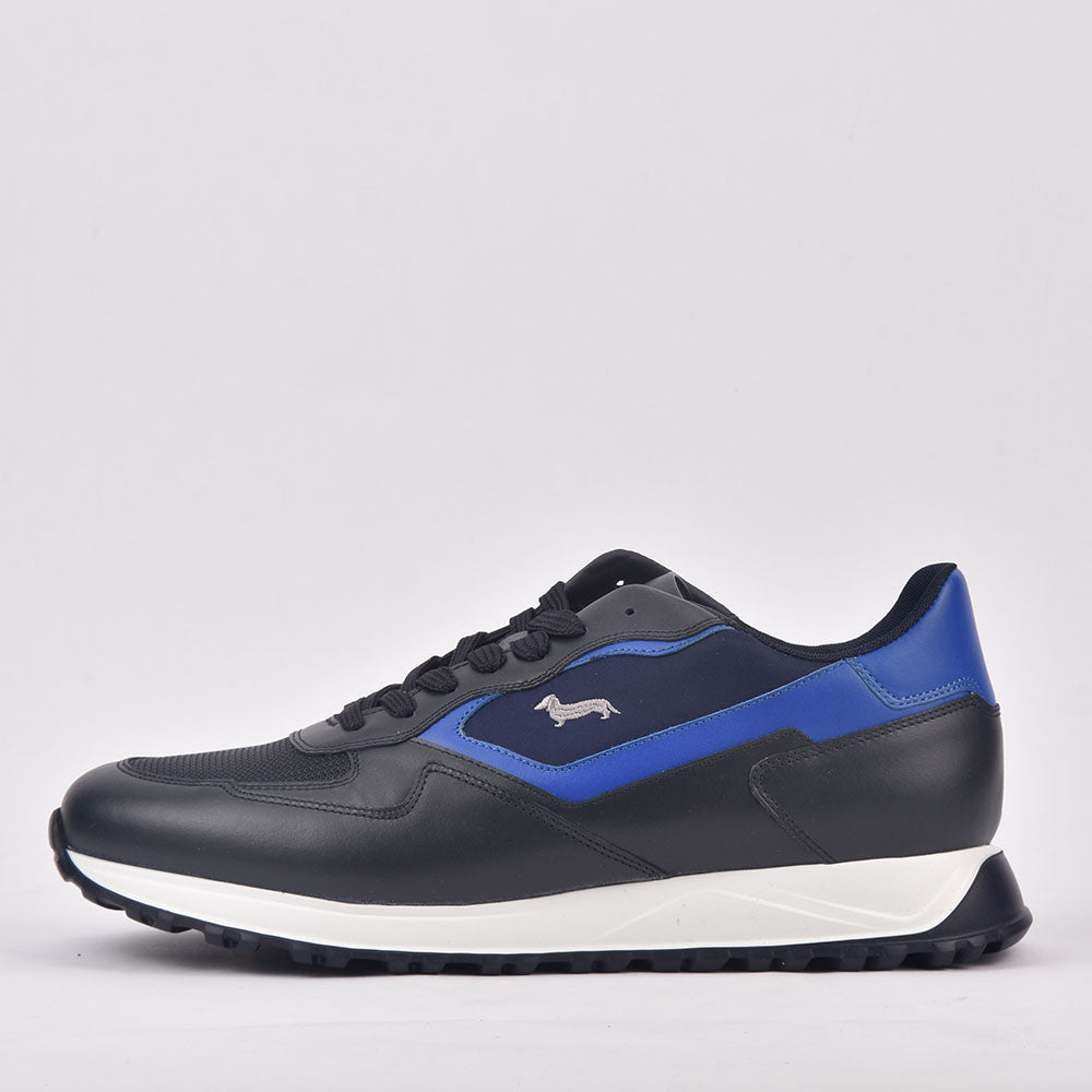 HARMONT AND BLAINE SCARPA UOMO BLU  ROYAL - EFM231-079-6480