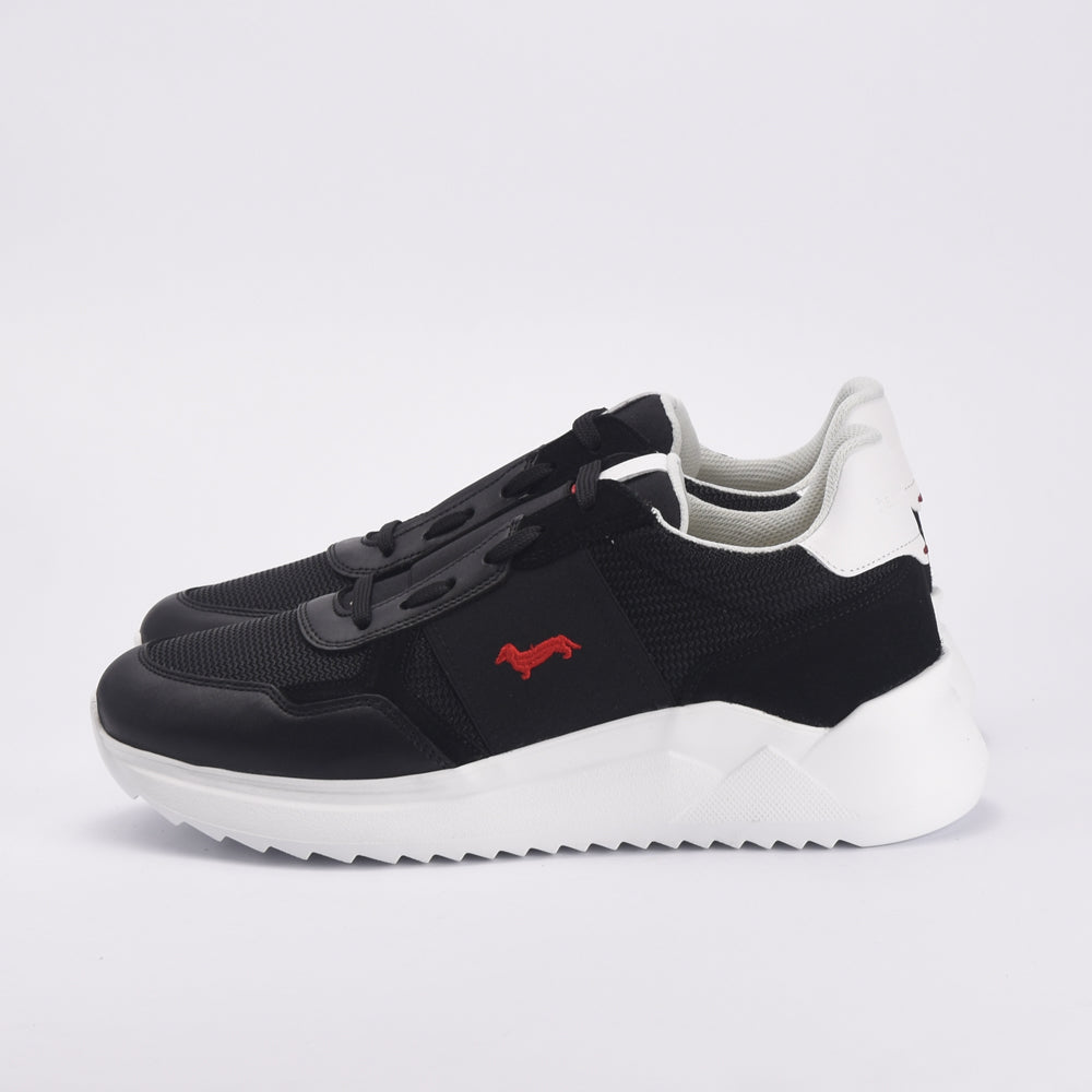HARMONT AND BLAINE SCARPA UOMO CALF NERO - EFM231-062-6250