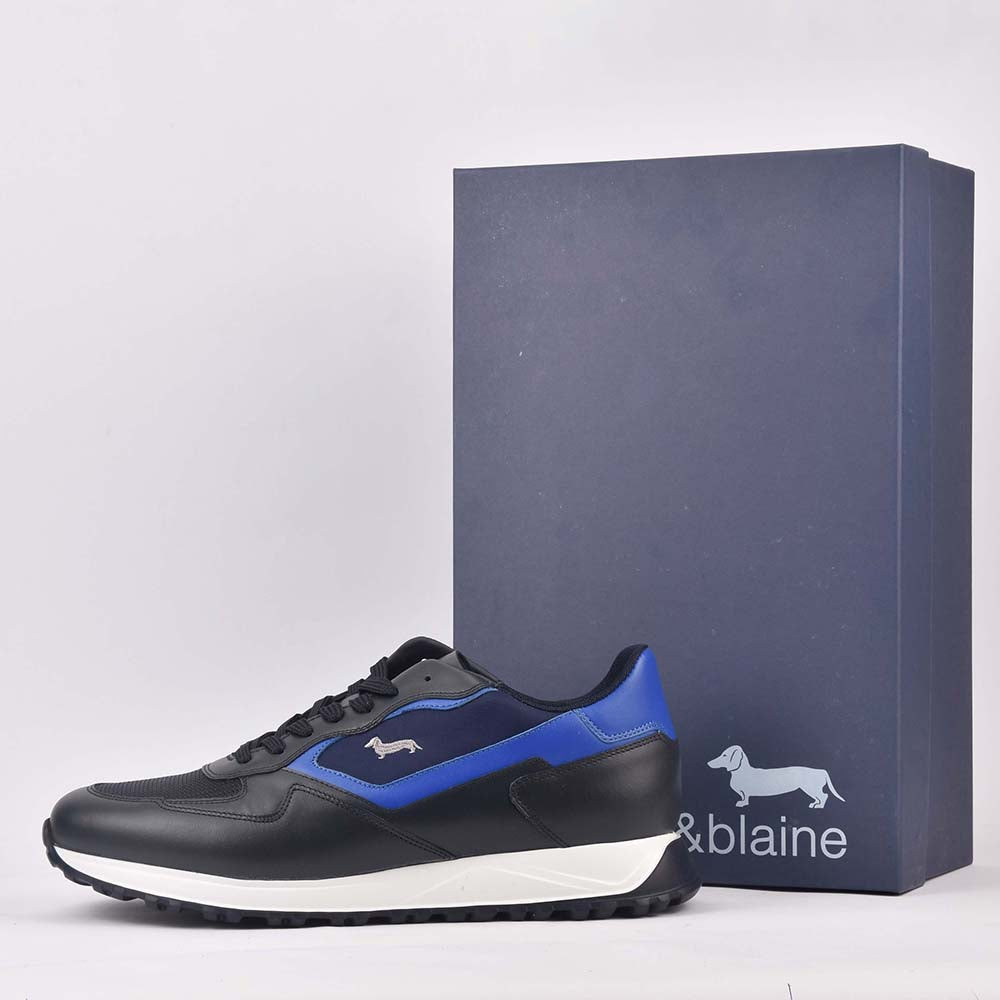 HARMONT AND BLAINE SCARPA UOMO BLU  ROYAL - EFM231-079-6480