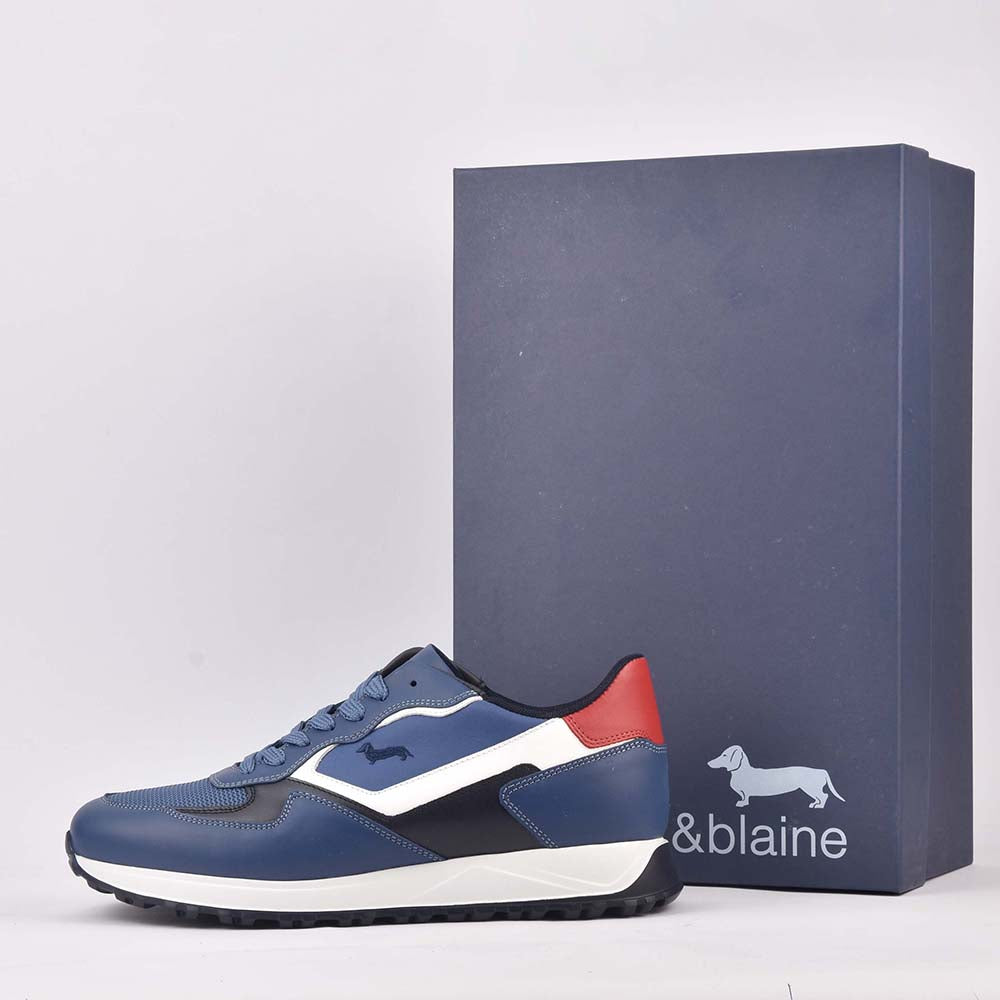 HARMONT AND BLAINE SCARPA UOMO CALF AZZURRO - EFM231-079-6470