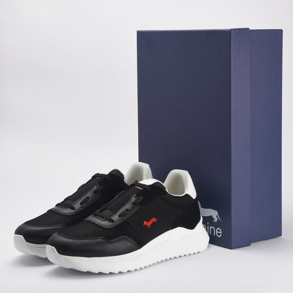 HARMONT AND BLAINE SCARPA UOMO CALF NERO - EFM231-062-6250