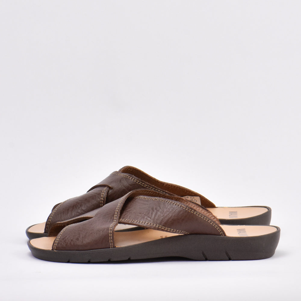 WALKING BROWN - 0040080590992