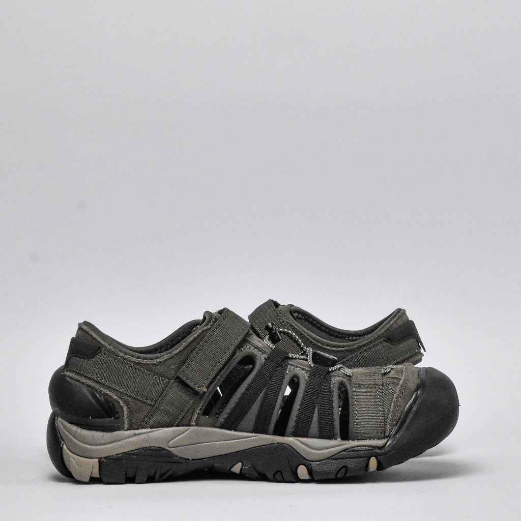 Shaol Bay Sea Turtle-Taupe - O014424