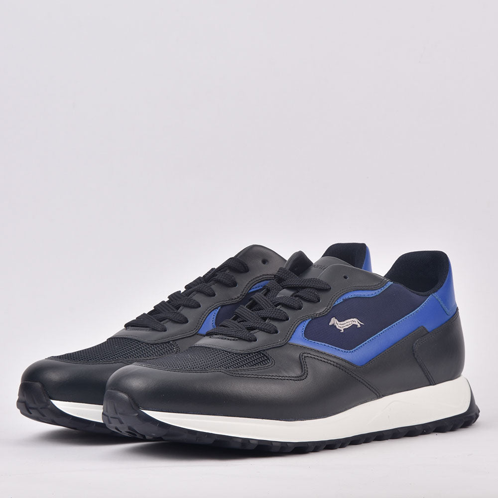 HARMONT AND BLAINE SCARPA UOMO BLU  ROYAL - EFM231-079-6480