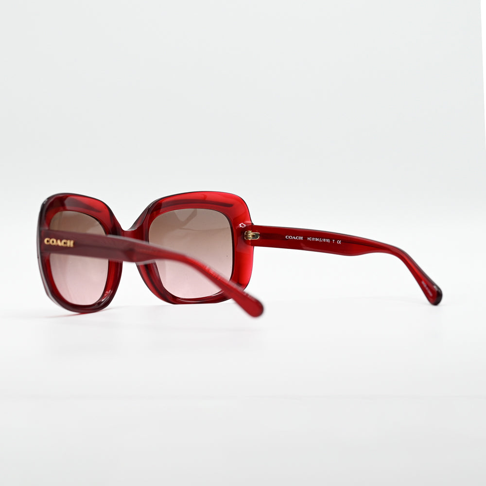 Coach HC8194 Square Sunglasses - HC8194-502914