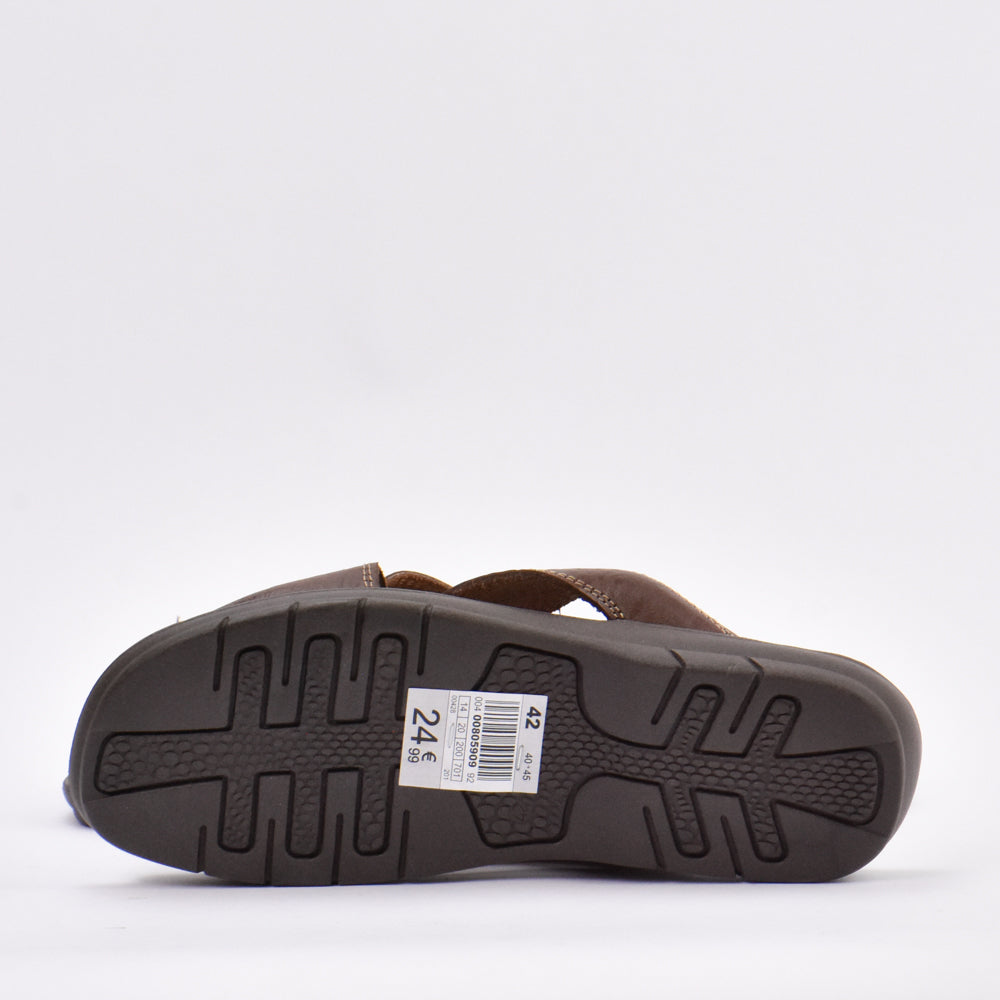 WALKING BROWN - 0040080590992