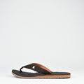 CLAQUETTE AA157M COCOA KITO - AA157MCC