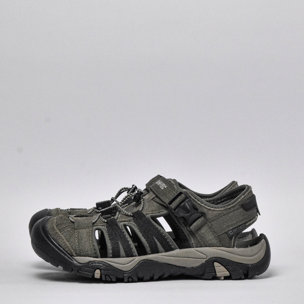 Shaol Bay Sea Turtle-Taupe - O014424