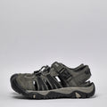 Shaol Bay Sea Turtle-Taupe - O014424
