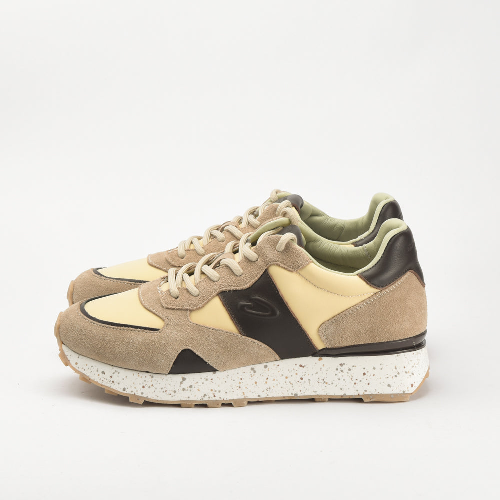 Guardiani - AGM316602