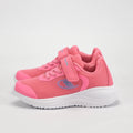 CHAMPION BASKET - S32921-PS153