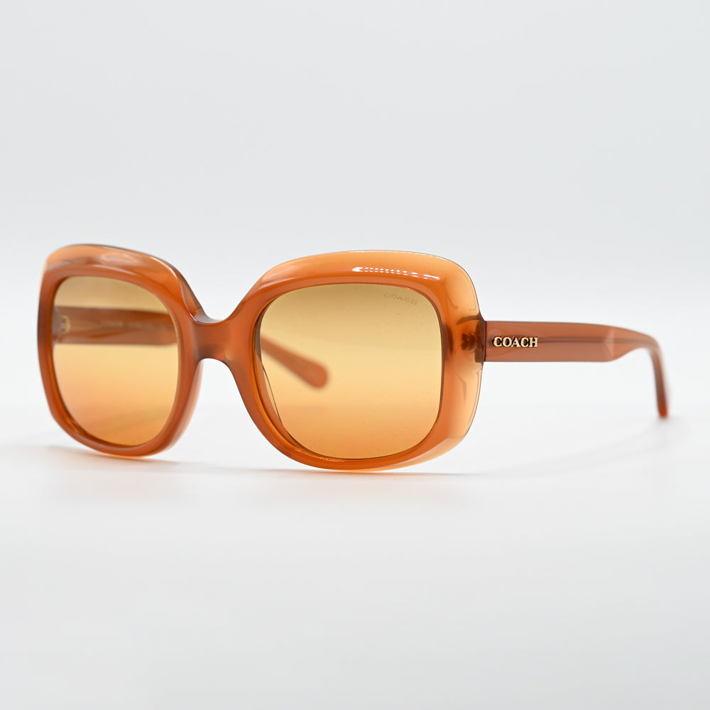 Coach HC8194 Square Sunglasses - HC8194-5428W8
